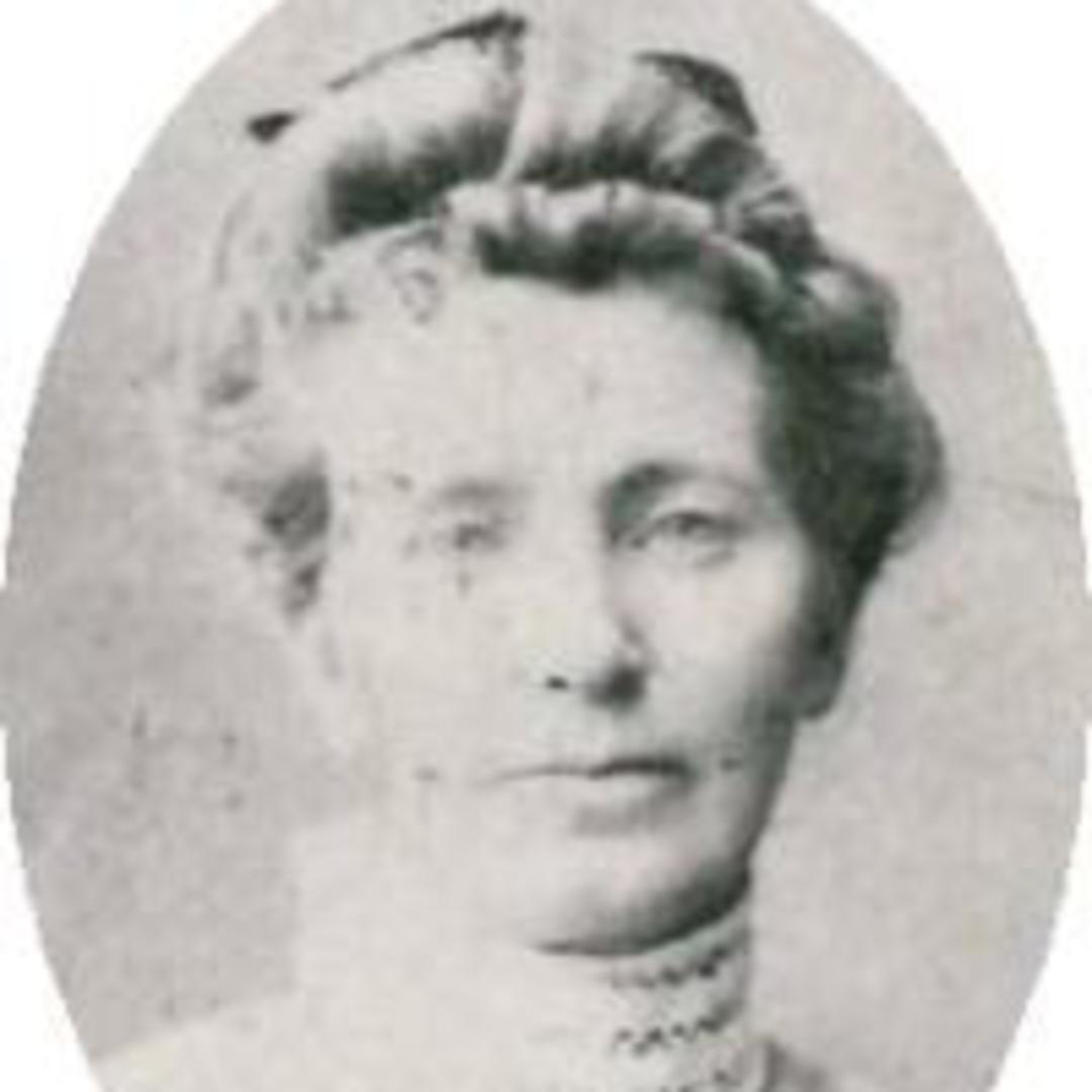 Sally Ann Mecham (1842 - 1910) Profile